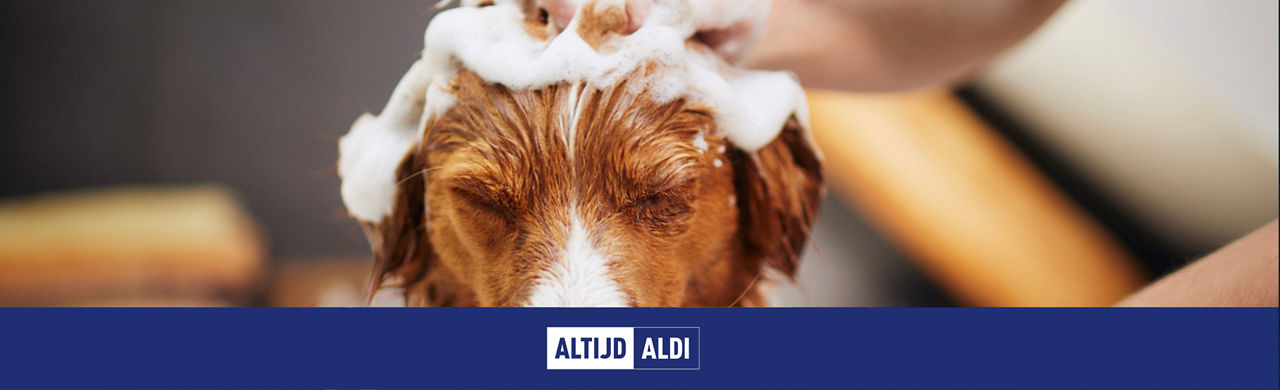 Hond wassen