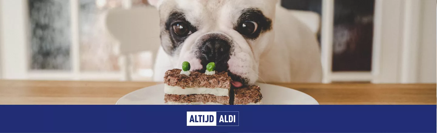 verjaardag hond