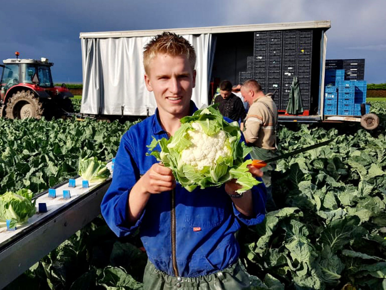 Bloemkoolteler Santino de Wit uit Hoogkarpsel met zijn verse zelfgeteelde bloemkool van Hollandse bodem voor ALDI