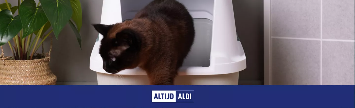 kattenbak schoonmaken