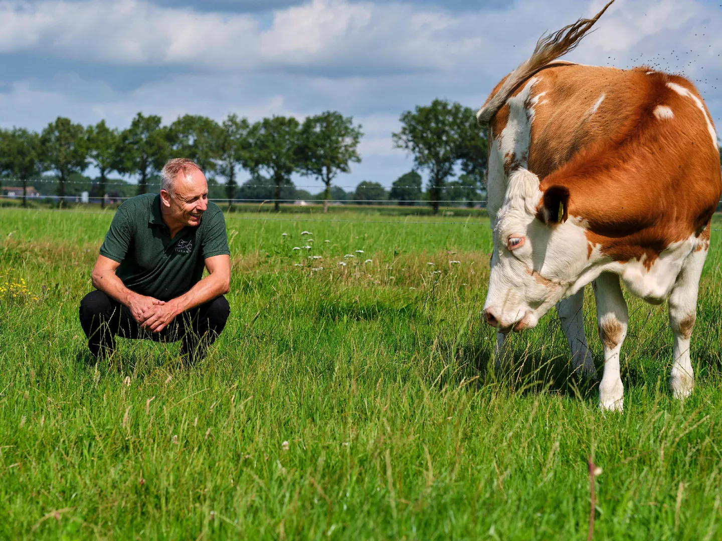 "ik zie positieve veranderingen in het gras"