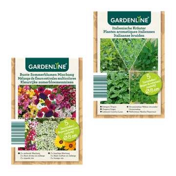 Saatscheiben / -bänder