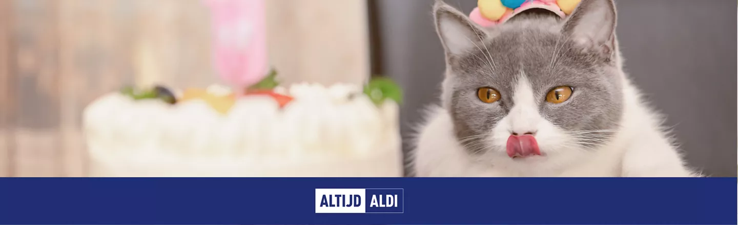 verjaardagstaart kat