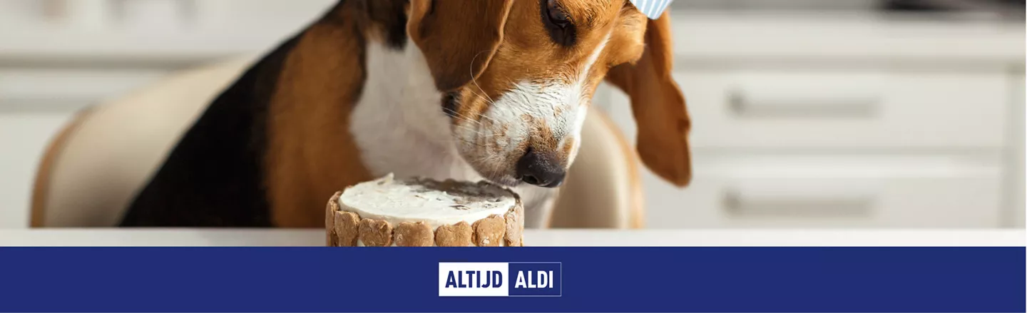 hondertaart zelf maken