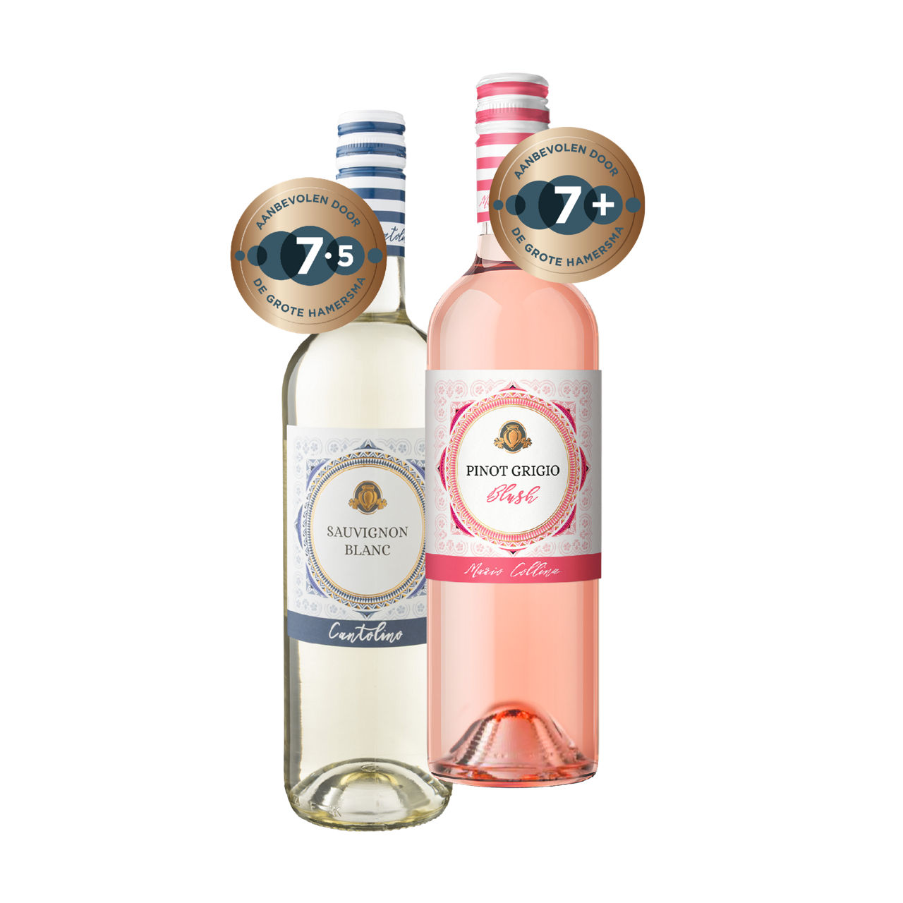 Cantolino Pinot Grigio of Sauvignon Blanc