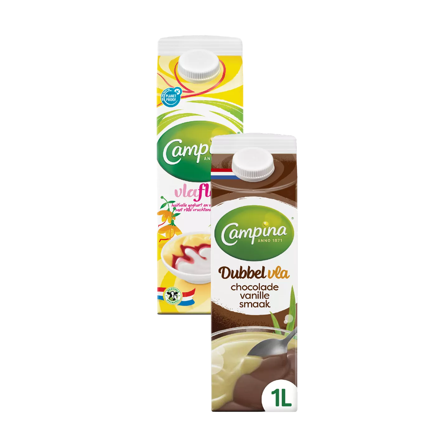 CAMPINA Vla