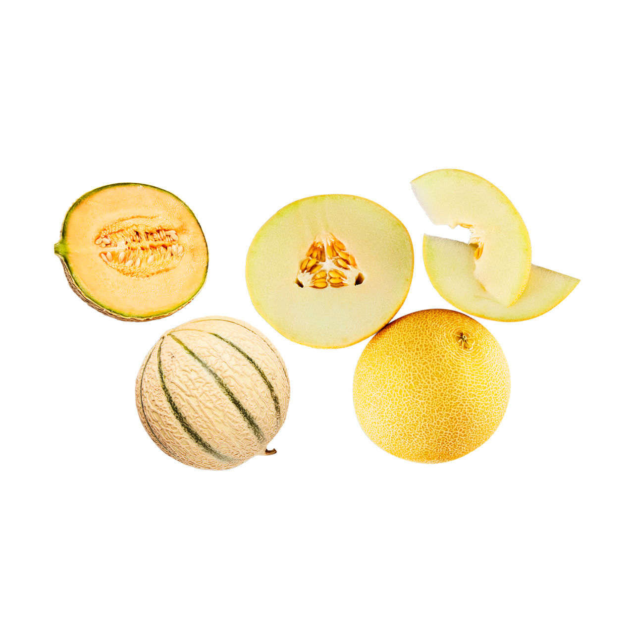 Galia- of cantaloupe meloen