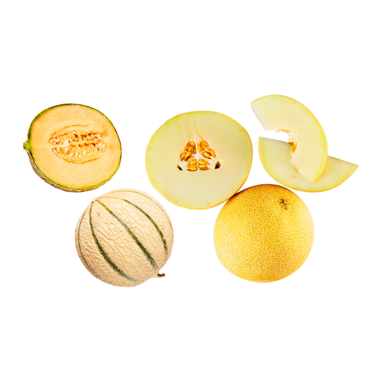 Galia- of cantaloupe meloen