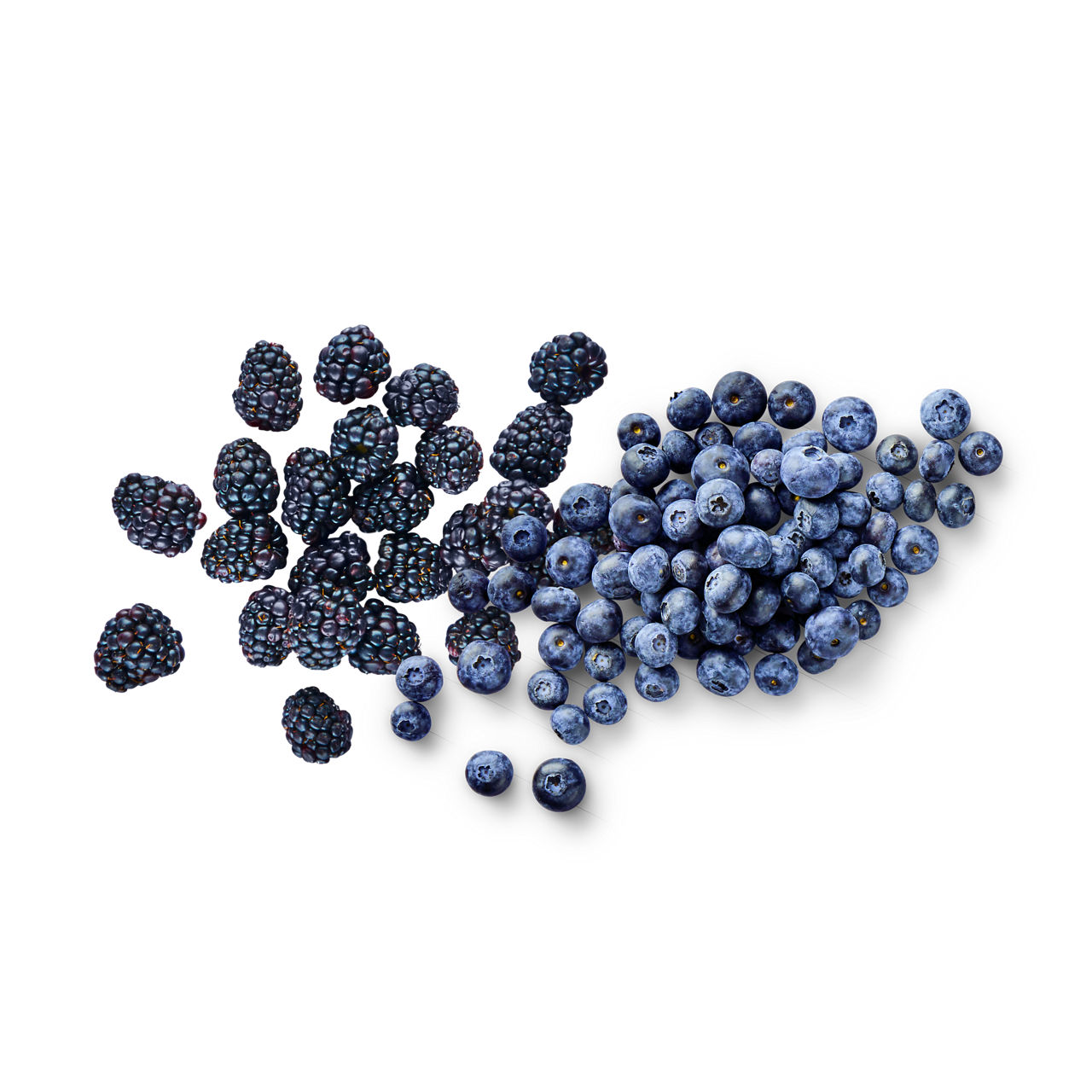 Bramen en blauwe bessen