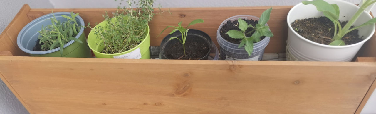 plantenrek