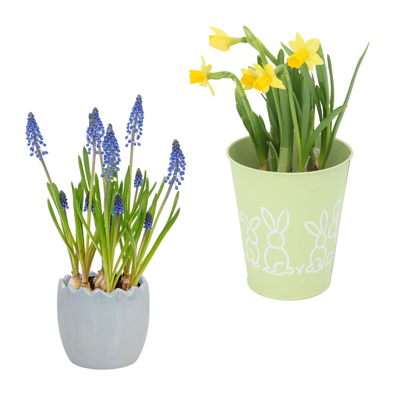  Bepflanzte Osterkeramik