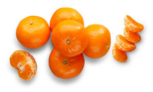 Mandarina
