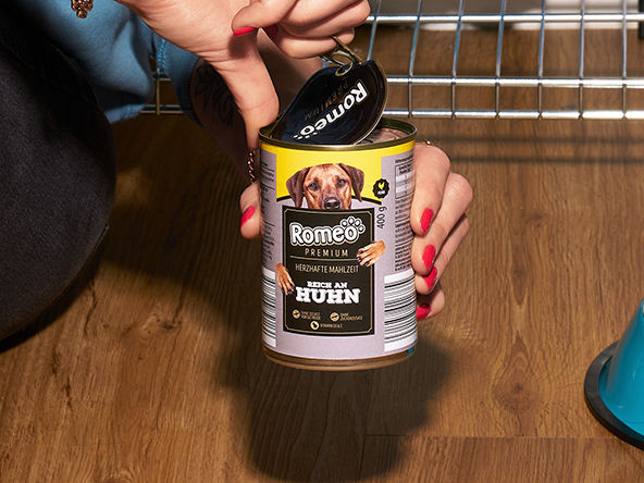 Tierfutter fr Hunde und Katzen bei ALDI Nord.