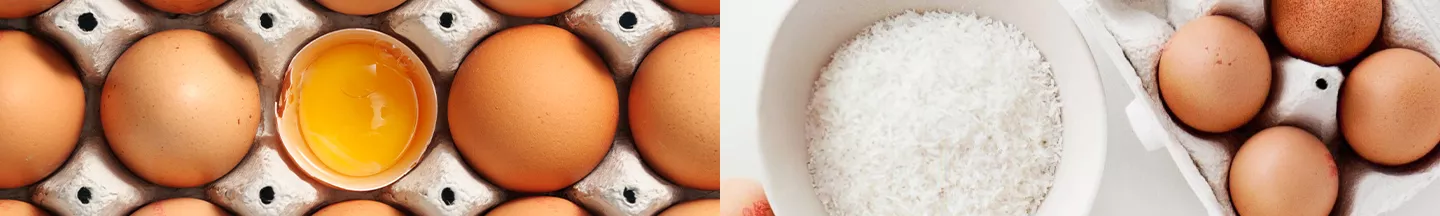 Eier, die auf zwei Bildern in jeweils verschiedenen Ansichten dargestellt werden. 