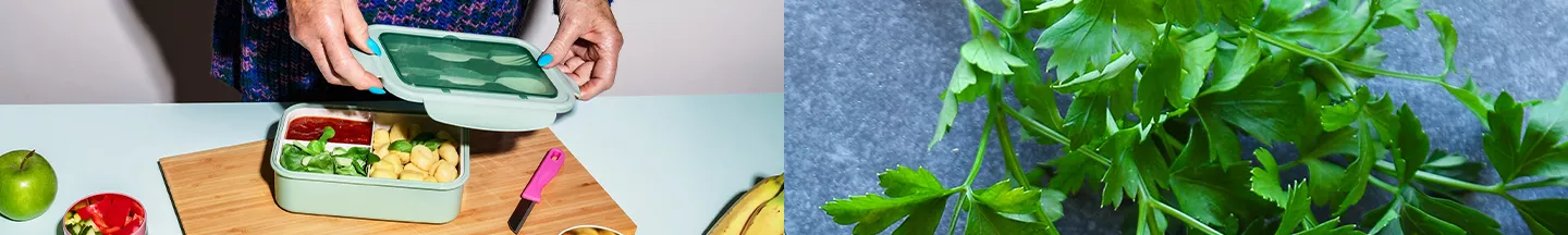 Person macht Meal Prep und glatte Petersilie auf blauem Hintergrund.