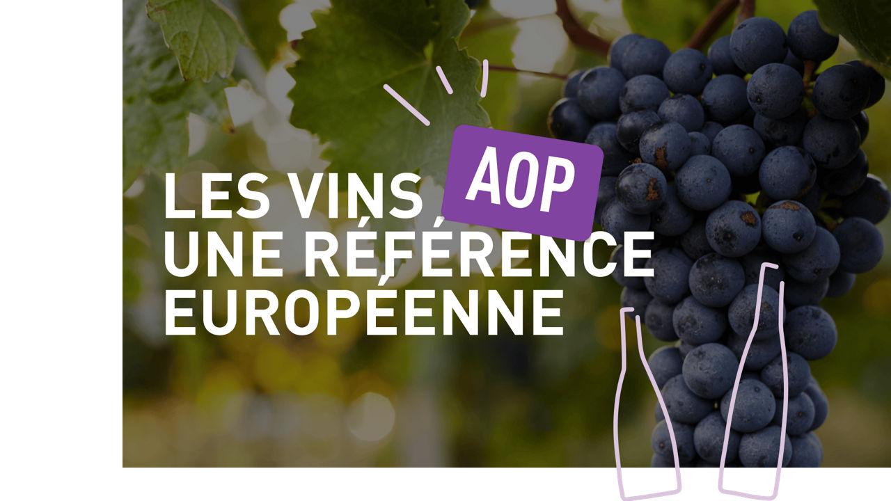 Les vins AOP