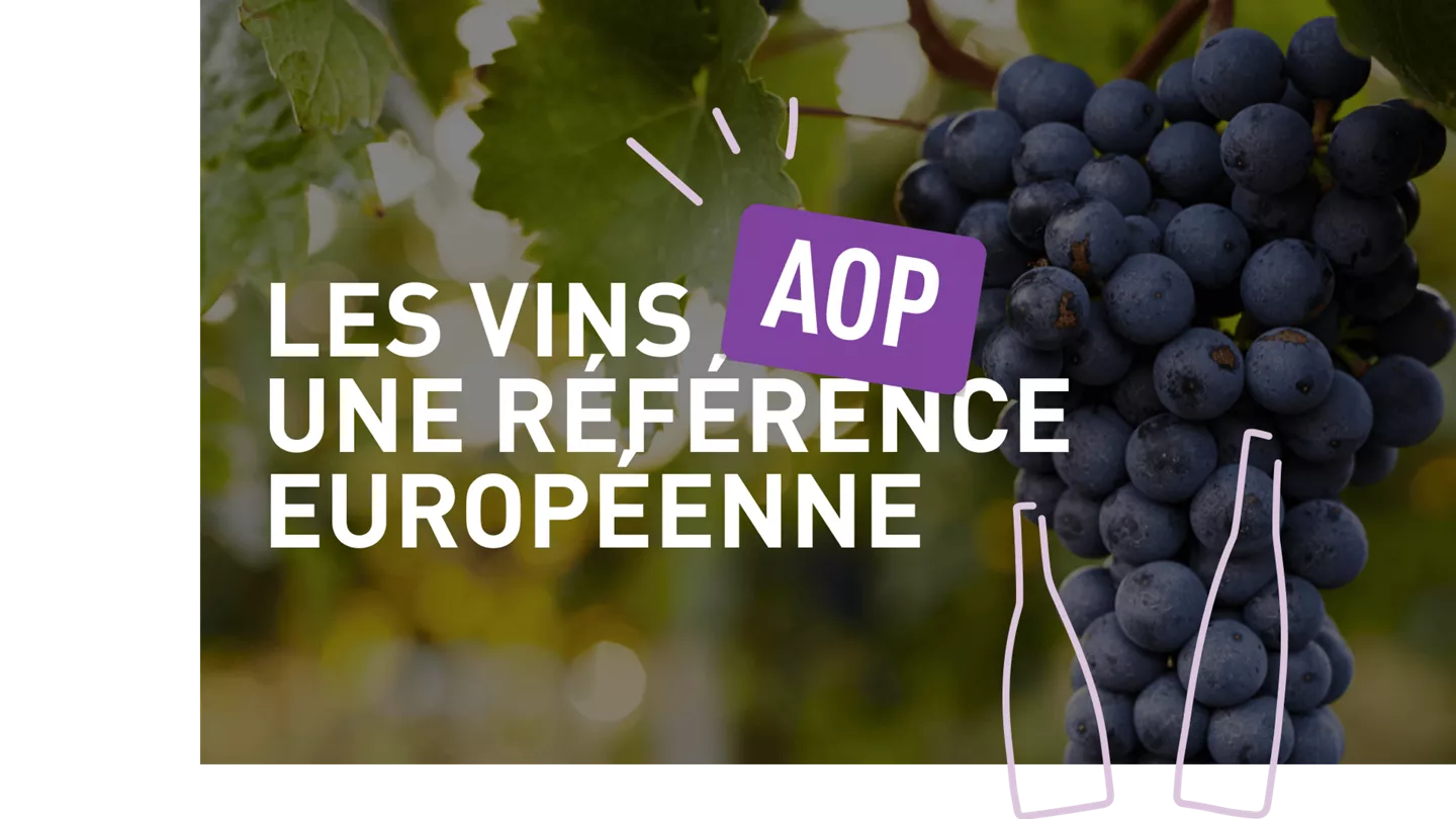 Les vins AOP