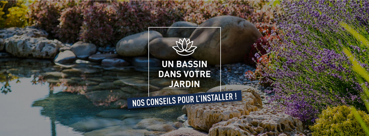 bassin jardin