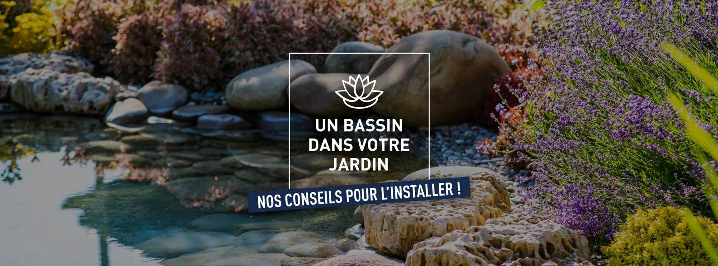 bassin jardin