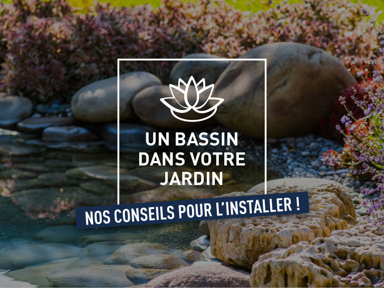 Et si vous installiez un bassin dans votre jardin ?
