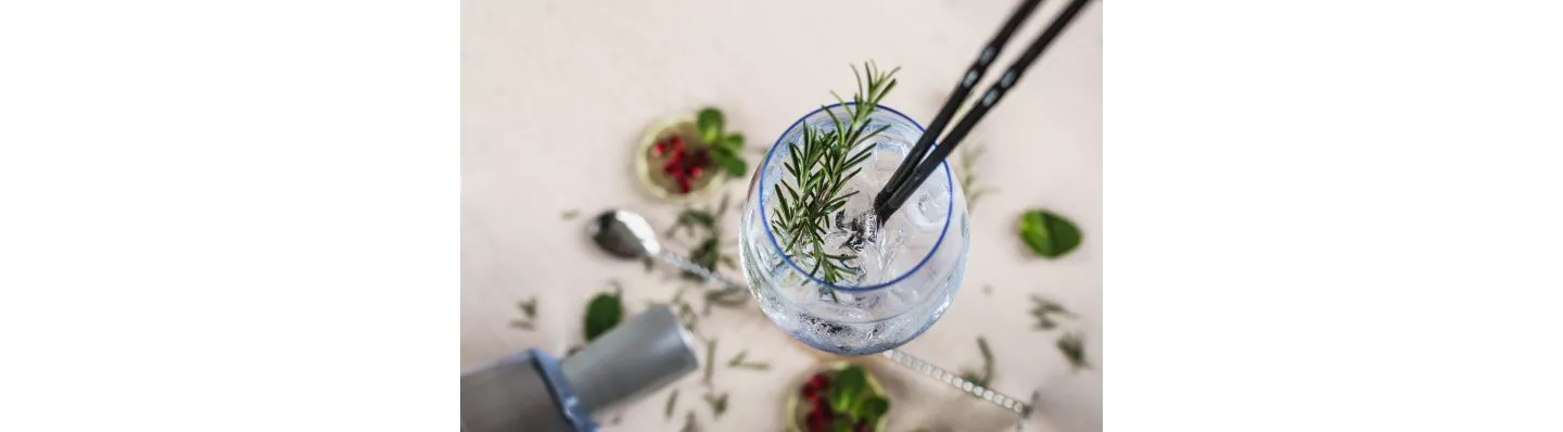 Winterse gin-tonic