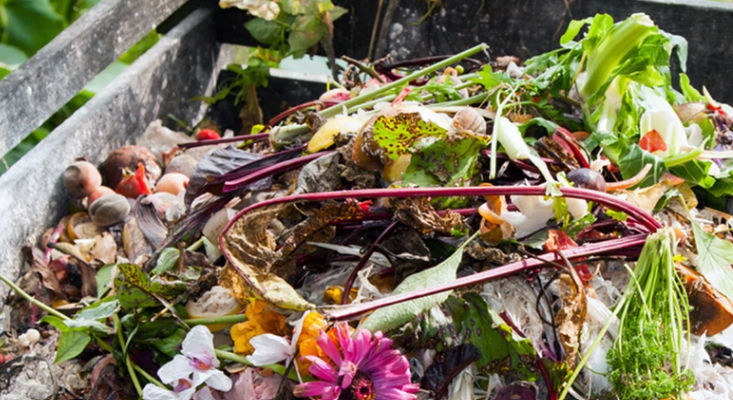 DIY plantenvoeding van keukenresten