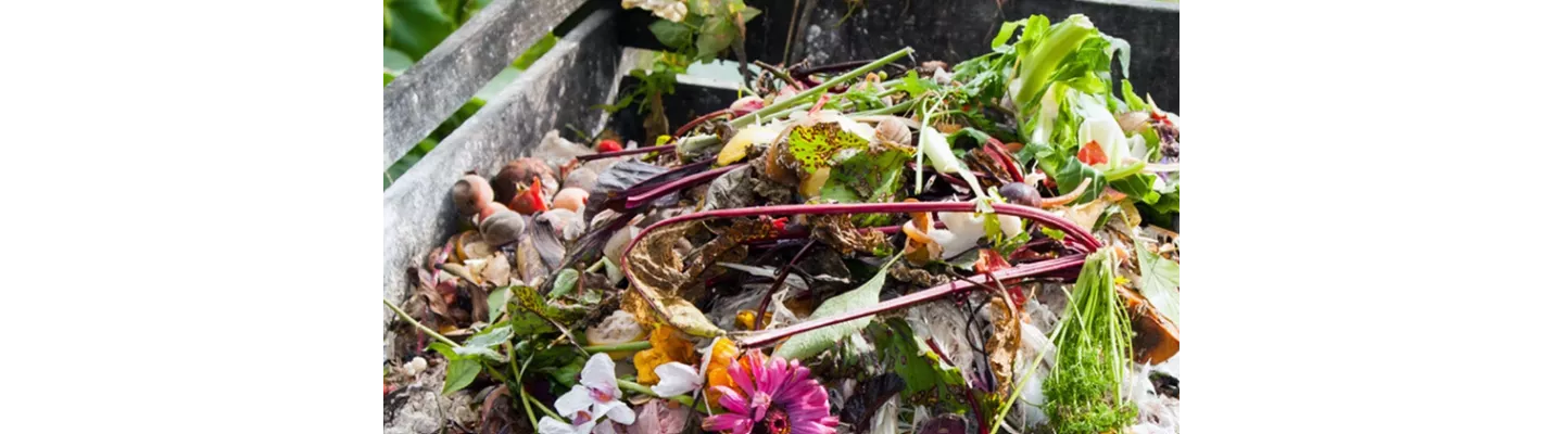 DIY plantenvoeding van keukenresten