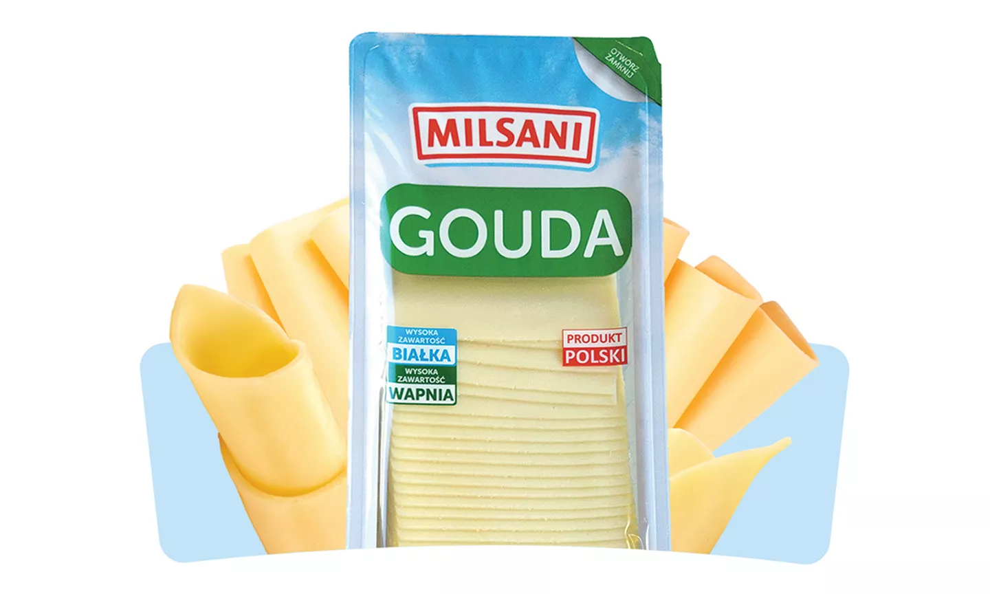 SER GOUDA