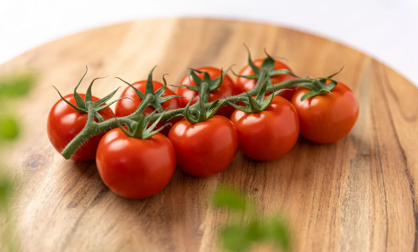 De Red Nature cocktailtomaten van Hollandse bodem bij ALDI