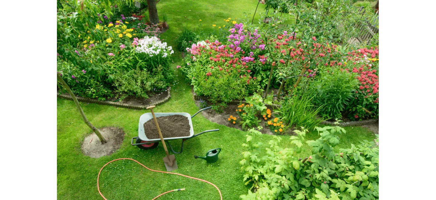 tuin zomerklaar maken ALDI
