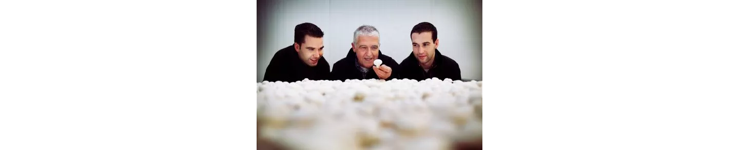 Teun Koolen uit Wieringermeerpolder levert verse en PlanetProof champignons aan ALDI