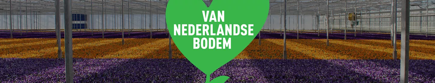 Interview met Brian Braas van bakkerij Braas in Obdam over de broden die hij aan ALDI levert.