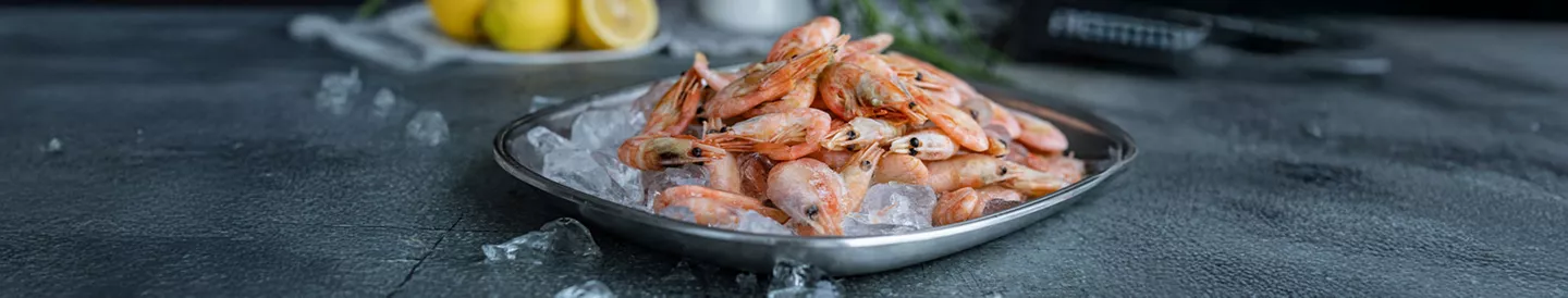 Langostinos crudos sobre hielo, listos para cocer