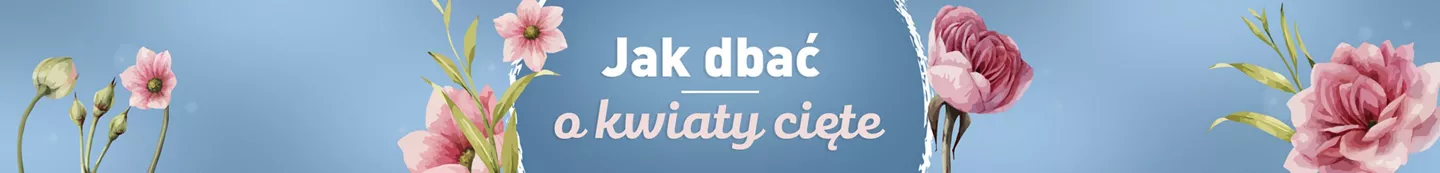 kwiaty cięte