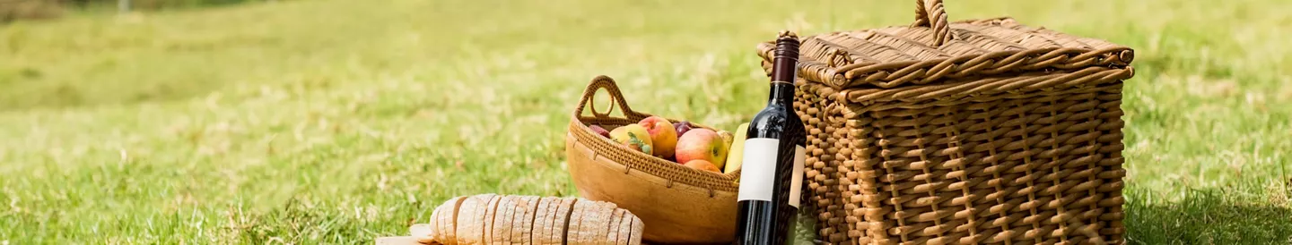 Comida fría para llevar de picnic al campo