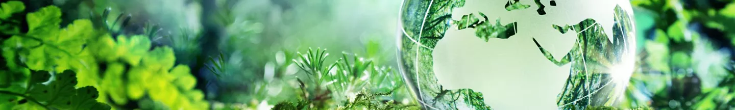 Évolution systémique