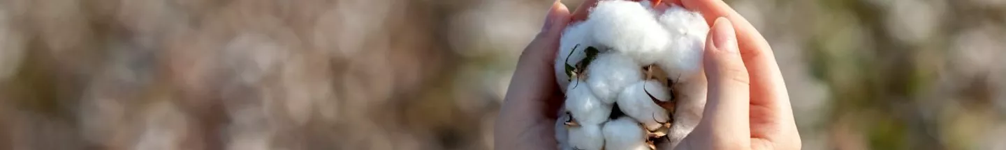 Le coton durable