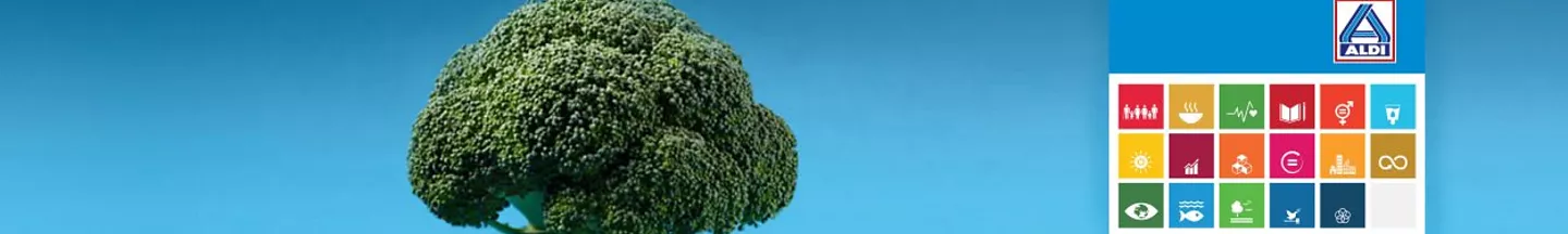 Développement Durable