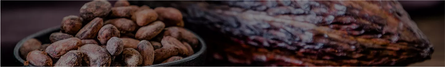 Achat cacao