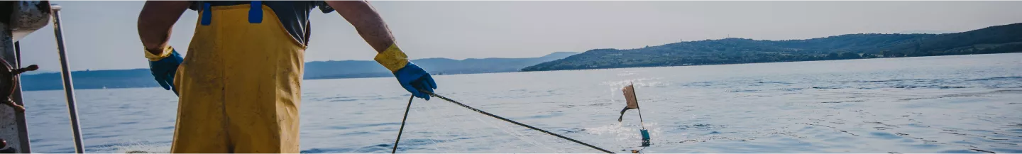 politique d'achats de poissons et fruits de mer
