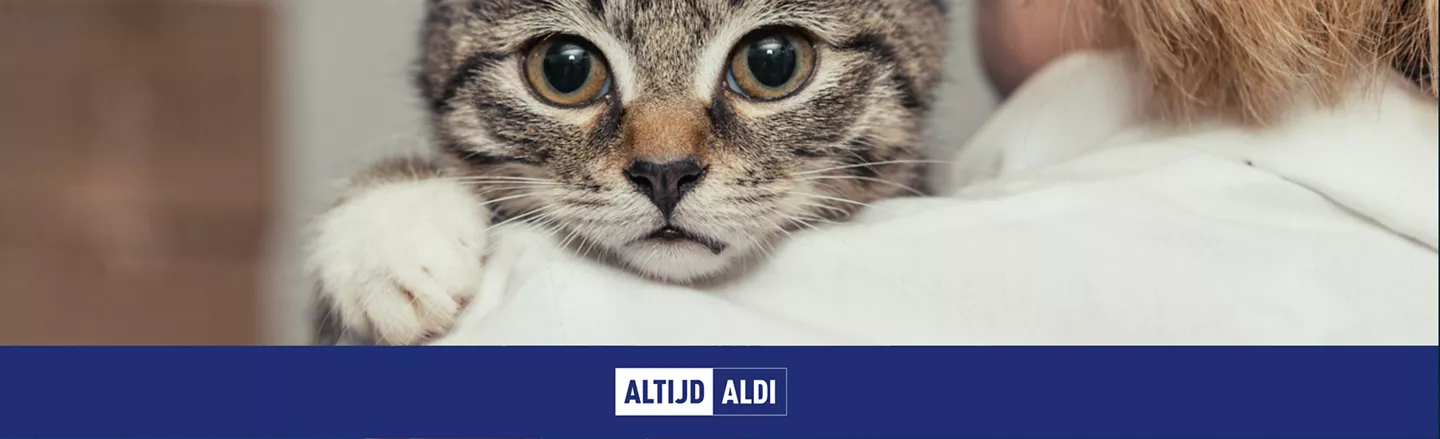 stressvrij oud en nieuw voor jouw hond of kat