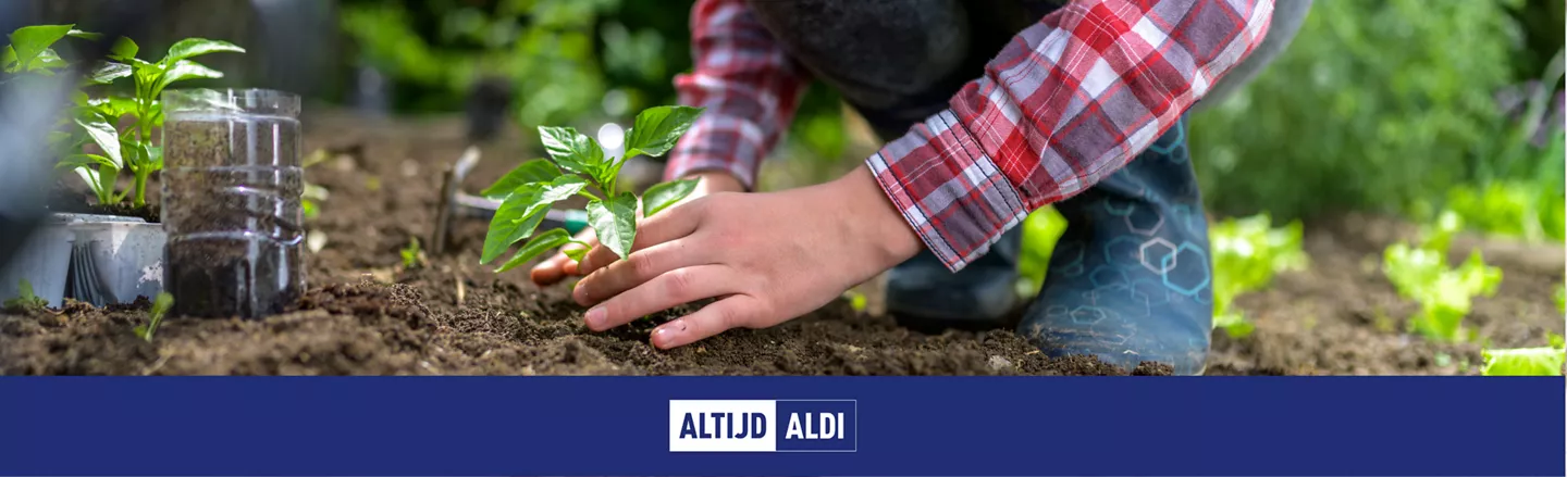 Hoe maak je de tuin klaar voor het voorjaar? - Altijd ALDI