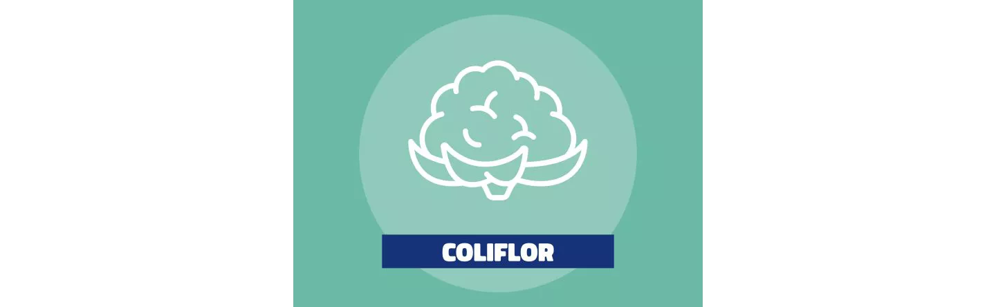 Coliflor