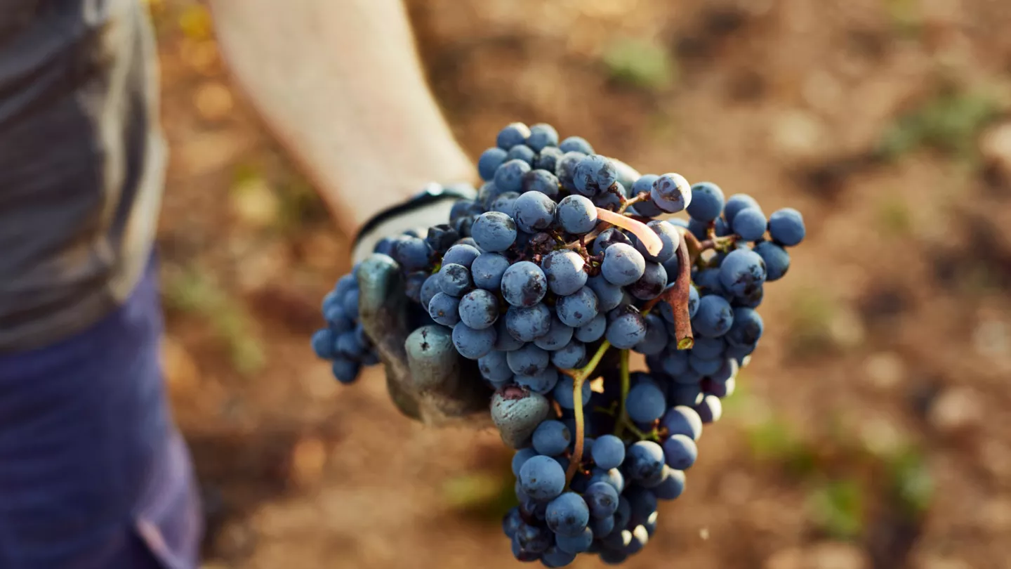 Conseil #3 : Soyez exigeant dans votre sélection