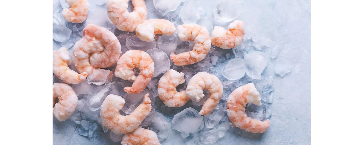 Langostinos congelados listos para descongelar antes de cocerlos
