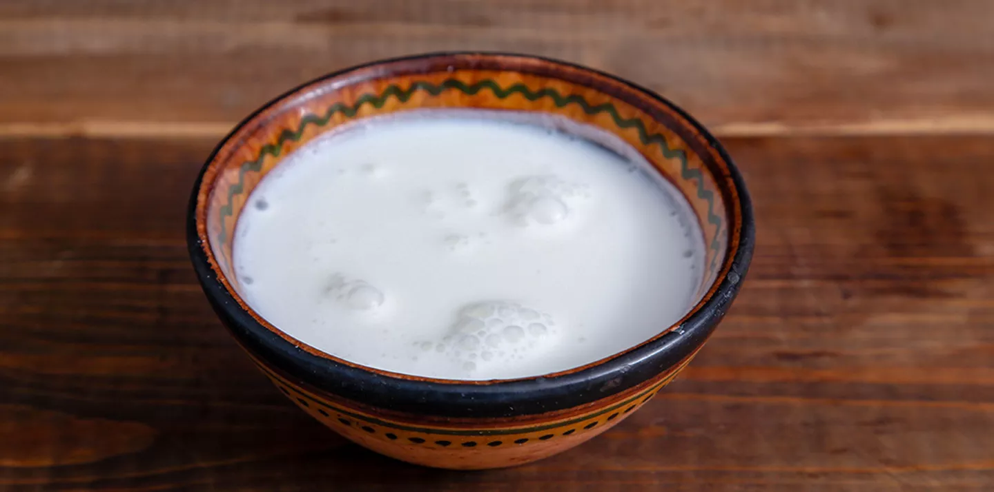Cuenco kumys leche fermentada pequeños grumos