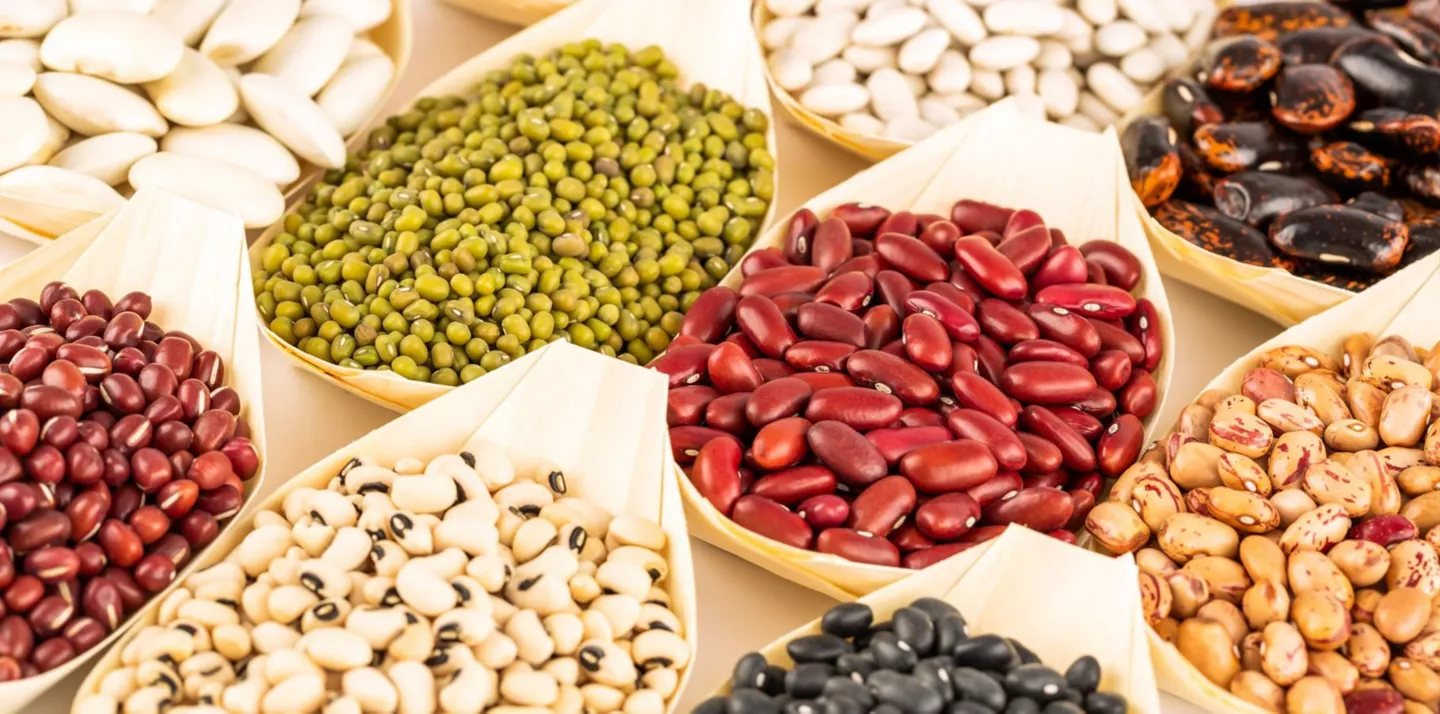 Cuencos bambú tipos legumbres proteína vegetal