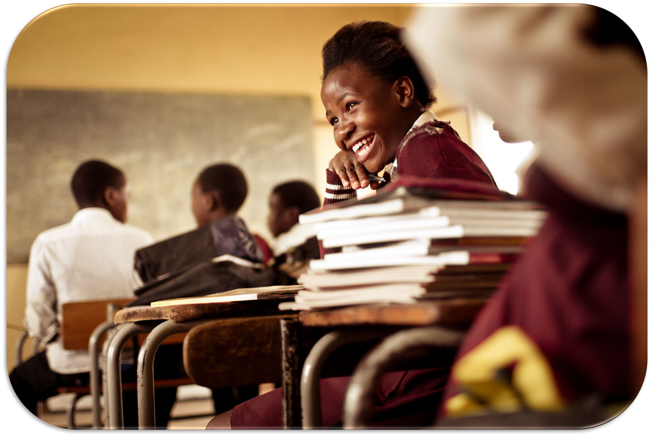 La plantation de roses Aquila