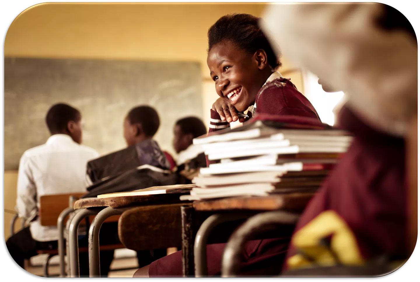 La plantation de roses Aquila