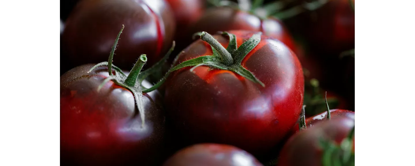 Tipo de tomate kumato